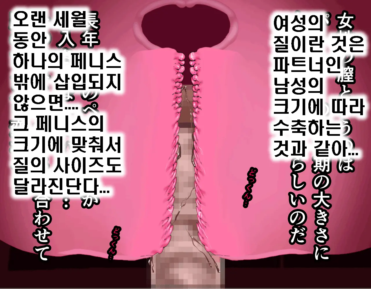 Saimin Seikyouiku 5 | 최면성교육 제5화
